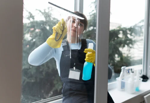 Nettoyage de vitres intérieures et extérieures à Saint-Genest-d'Ambière